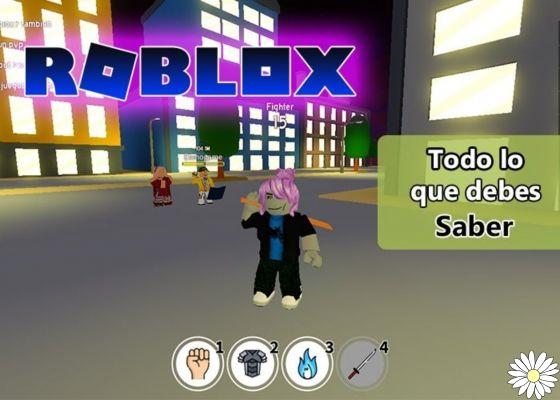 Everything You Need To Know About Roblox 🎮